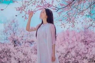 人在八零撞桃花,桃花撞上青春的浪漫邂逅