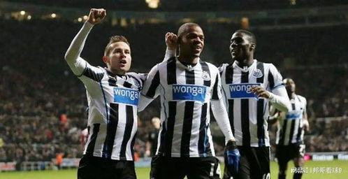 23-24赛季英超第15轮：埃弗顿VS纽卡斯尔联