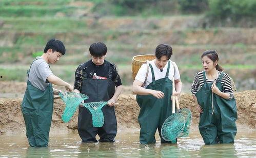 向往的生活 第五季,向往的生活第五季深度解读